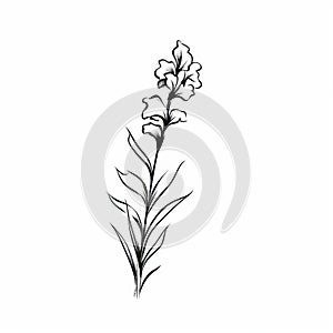 Minimalistic Snapdragon Sketch Drawing: Trendy Tattoo-inspired Illustration