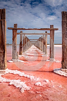 Minimalistic vertical landscape - natural pink color of salt lake, Ukraine