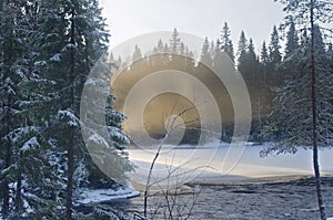 Minimalistic winter landscape. Beautiful snowy forest. River in the  forest.