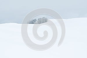 Minimalistic winter view of snowy hills