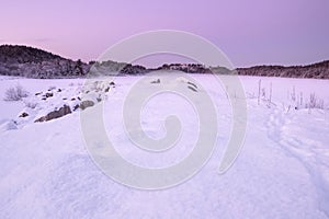Minimalistis winter landscape - frozen lake at the dusk covered with the snow background