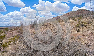 Mining Area near Deming, New Mexico