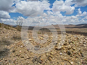 Mining Area near Deming, New Mexico