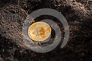Mining Golden Bitcoins