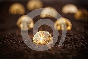Mining Golden Bitcoins