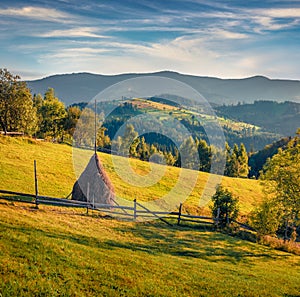 Mining hay on mountain pasture.