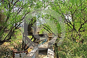 Mining Sluice on La Posta Quemada Ranch in Colossal Cave Mountain Park