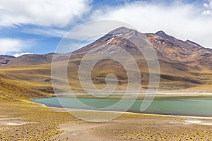 Miniques Lagoon in the Atacama Desert, Chile