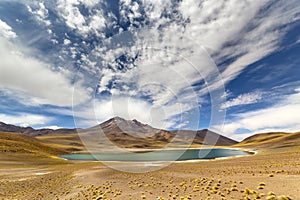 Miniques Lagoon in the Atacama Desert, Chile