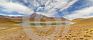 Miniques Lagoon in the Atacama Desert, Chile