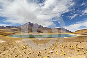 Miniques Lagoon in the Atacama Desert, Chile