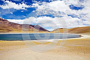 Miniques lagoon in the Atacama desert, Chile