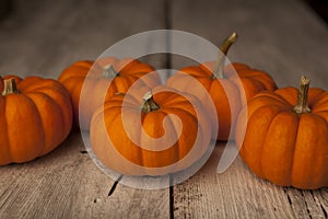 Miniture orange pumpkins.