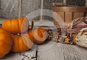 Miniture orange pumpkins.