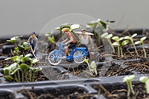 Miniture people cyclist and miniture gardeners with planting tree background photo