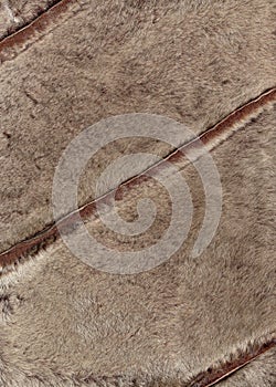 Miniver for diagonal