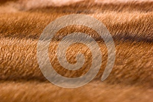 Mink fur