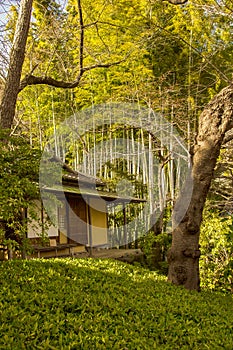 Minka Japanese House with Porch in the Woods