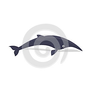 Minke whale icon, flat style