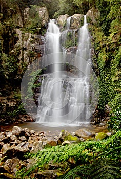 Minnamurra Falls