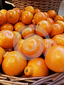 Minneola Tangelo