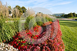 Minnesota Capital Garden