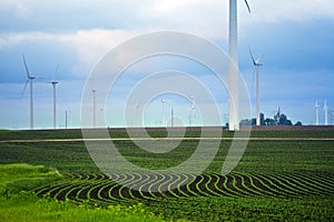 Minnesota Farmlands