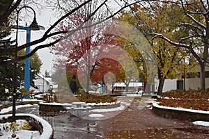 Minnesota State Fairgrounds in Winter