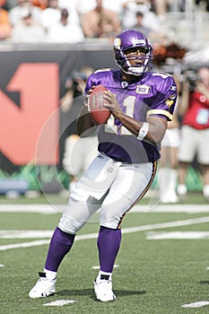 Daunte Culpepper