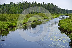 Minnesota Wilderness