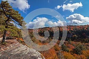 Minnewaska State Park Preserve in Kerhonkson NY with brilliant fall foliage on the Hamilton Point Carriage Road