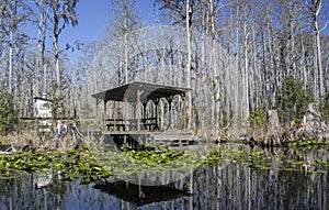 Minnies Lake Rest Dock, Okefenokee Swamp National Wildlife Refuge