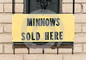 Minnows sold here