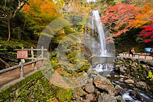 Mino waterfall photo