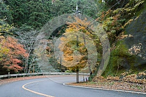 Minoh Park autumn colorful forest mountain road in Osaka, Japan