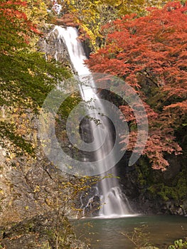 Minoh waterfall in autumn photo