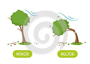 MINOR and MAJOR antonyms word card vector template