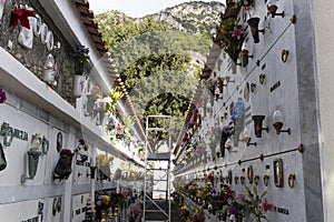 Minori, Amalfi coast, Salerno, Italy. Cemetery Commemoration of the deceased photo