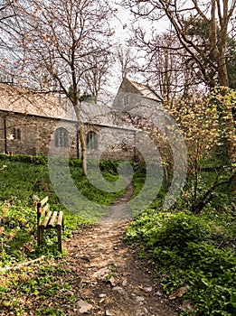 Minster church in Valency woods near Boscastle