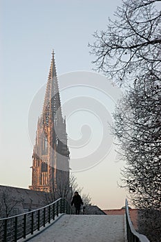 Minster of Freiburg im Breisgau