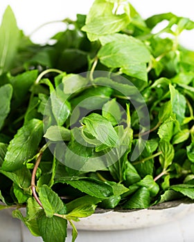 Mint. Bunch of Fresh green organic mint leaf in bowl on wooden table closeup