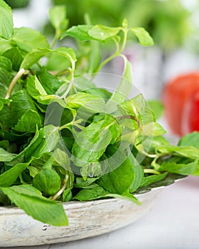 Mint. Bunch of Fresh green organic mint leaf in bowl on wooden table closeup