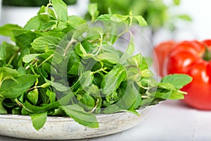 Mint. Bunch of Fresh green organic mint leaf in bowl on wooden table closeup