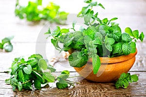 Mint. Bunch of fresh green organic mint leaf on wooden table