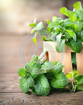 Mint. Bunch of fresh green organic mint leaf on wooden table