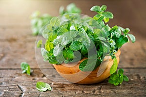 Mint. Bunch of fresh green organic mint leaf on wooden table