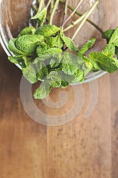 Mint. Bunch of Fresh green organic mint leaf on wooden table closeup
