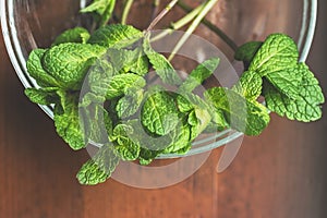 Mint. Bunch of Fresh green organic mint leaf on wooden table closeup