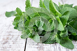 Mint. Bunch of Fresh green organic mint leaf on wooden table closeup. Selective focus.