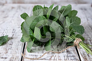 Mint. Bunch of Fresh green organic mint leaf on wooden table closeup. Selective focus.